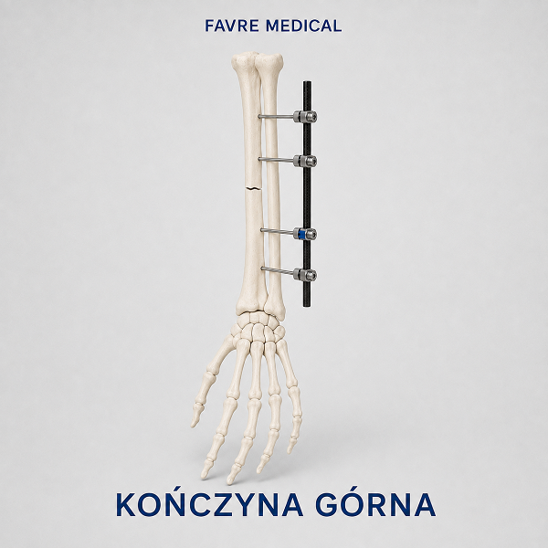 Favre_KG.png
